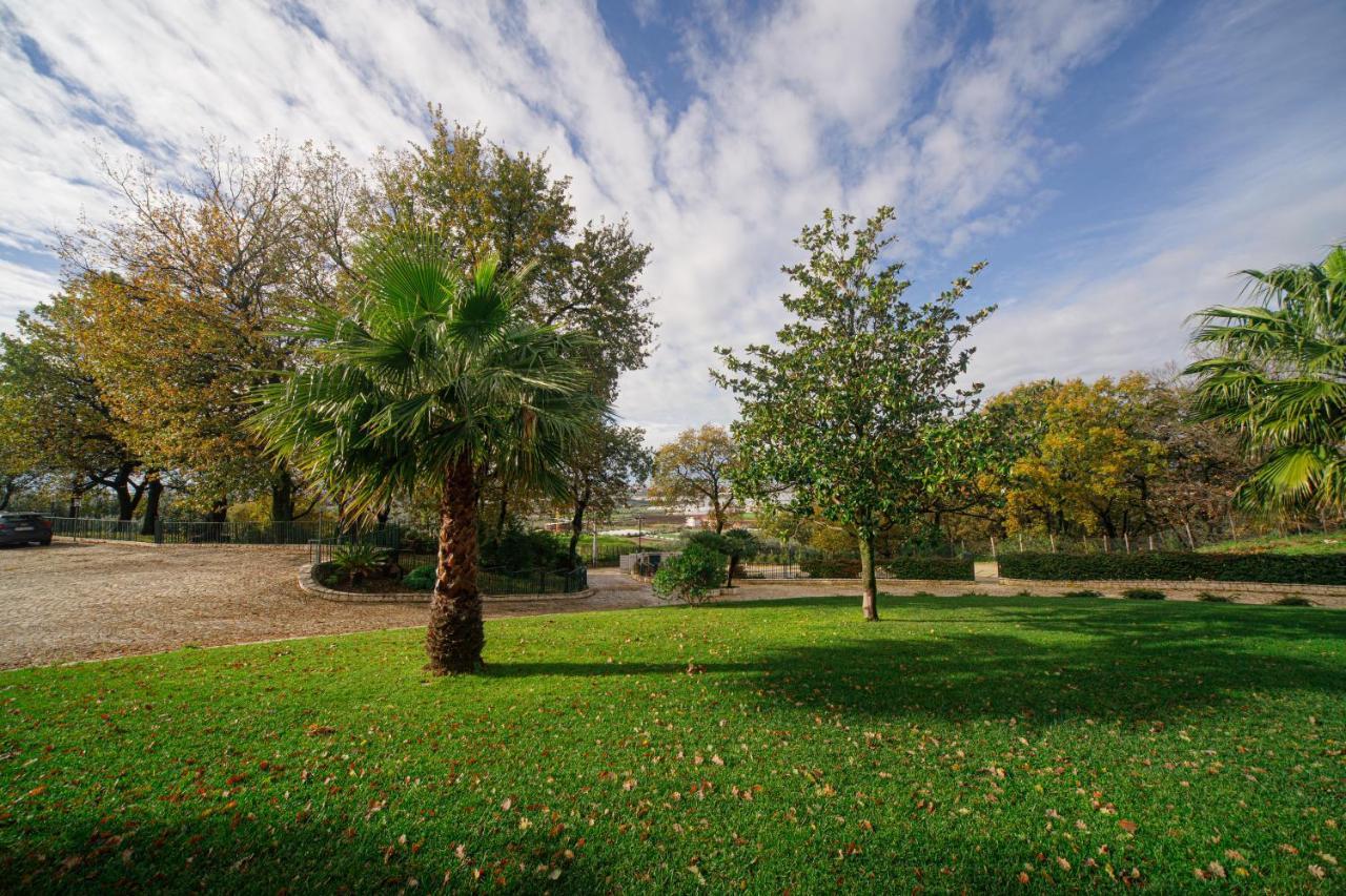 Aria - Villa Di Campagna Montecorvino Rovella Eksteriør bilde